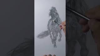 How to Draw a Horse Time Lapse Drawing shorts [upl. by Ekard]