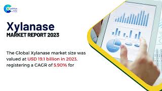 Xylanase Market Report 2023  Forecast Market Size amp Growth [upl. by Benny501]