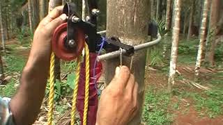 ARECANUT TREE CLIMBER WITH HARVESTING DEVICE [upl. by Kostival]