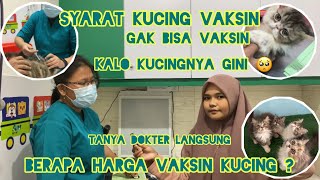 Spill biaya vaksin kucing persyaratan vaksin kucing apa saja  Tonton video ini [upl. by Cutler575]