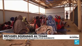 Au Tchad la situation des réfugiés soudanais de plus en plus alarmante • FRANCE 24 [upl. by Kyrstin]