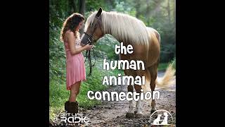 The HumanAnimal Connection 45 Lullabies for Dogs [upl. by Annawik821]