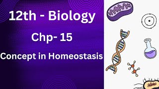 Homeostasis Introduction  Concept in homeostasis overview full explained in urdu hindi  class 12 [upl. by Newby]