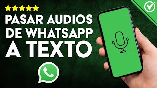 Cómo TRANSCRIBIR AUDIOS de WHATSAPP a TEXTO  Guía para Pasar Notas de Voz a Texto Fácilmente 📝 [upl. by Kermit]