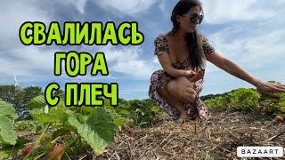 VLOG 🇩🇪 МУЖ ВЕРНУЛСЯ  ПЕРЕРЫВ В РЕМОНТЕ  ПОСЛЕДНЯЯ КЛУБНИКА 🍓 СОБИРАЕМ НОВЫЕ ШКАФЫ [upl. by Gary]