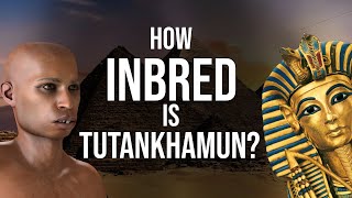 How Inbred was Tutankhamun [upl. by Mikahs608]