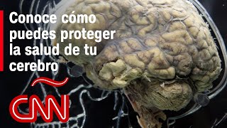 Conocer el cerebro para vivir mejor Facundo ManesRESUMEN [upl. by Lori]