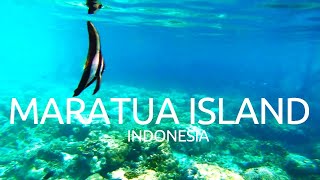 Snorkeling Pulau Maratua Kalimantan Timur Indonesia [upl. by Dworman]