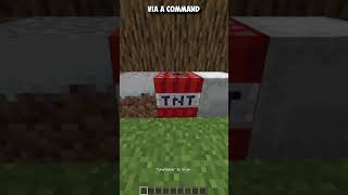 The Secret Item in Minecraft You probably dont know about shorts mc [upl. by Tabb456]