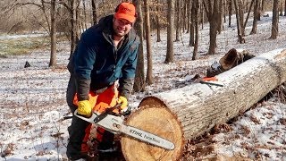 Stihl Chainsaw MS 271 Farm Boss Cutting 26 inch Tree with 18 inch bar [upl. by Brunn]