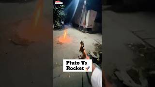 pluto Ki Traf Se Happy Diwali 🚀  minivlog diwali doglover [upl. by Shuping]