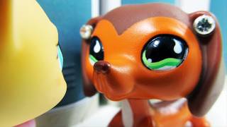 Littlest Pet Shop Popular Episode 12 The Rise and Fall of Brooke Hayes [upl. by Livingstone667]