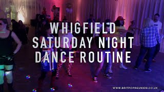 Remember the 1990s Whigfield Saturday Night Dance Routine [upl. by Reinaldos707]