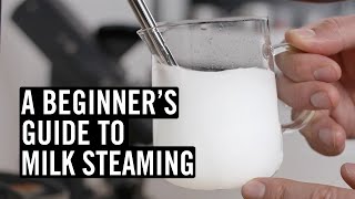 Everything You Need To Know To Steam Great Milk [upl. by Ttegdirb]