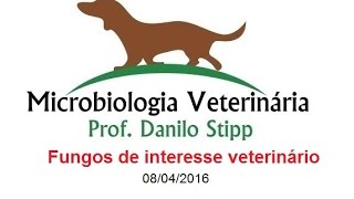 Micro Vet 20152 Aula 11  Fungos de interesse veterinário [upl. by Itteb]