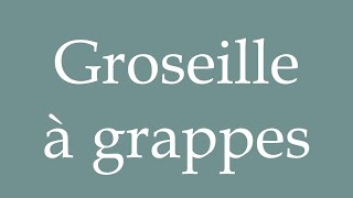 How to Pronounce Groseille à grappes Red currant Correctly in French [upl. by Moonier949]