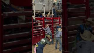 Bandera rodeo bull rodeo texas cowboys [upl. by Ravel]