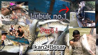 PENUH PERAHU Menjala Ikan Semah Mahseer di Hulu Sungai Pedalaman [upl. by Michaele]