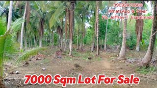 Repost V159 Near Whites Sand beach 7000 sqm Farm lot For sale Flat land tabi ng high school [upl. by Une]