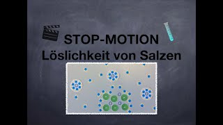 Löslichkeit von Salzen  StopMotion Video 🎥 [upl. by Ennaylime]