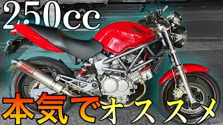 【これがいい】万能すぎるオートバイ！扱いやすくてカッコいい『VTR250』のポテンシャルの高さに衝撃を受けた！！！【最高の相棒】 [upl. by Larimor]