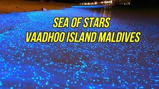 Sea of Stars  Vaadhoo Island Maldives  Tour Around The World [upl. by Eeresed]