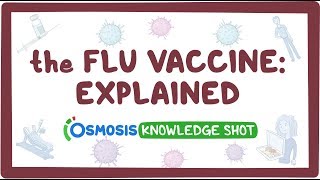 The flu vaccine explained [upl. by Htinnek262]