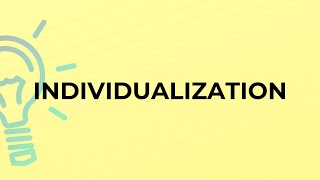 What is the meaning of the word INDIVIDUALIZATION [upl. by Gehlbach]