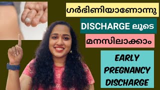 Early Pregnancy Discharge Before Missed Periods  Pregnancy detection with discharge  Discharge [upl. by Ymassej371]