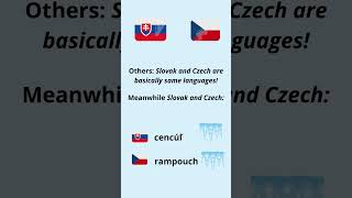 Icicle🤩🤩🤩czechlanguage slovaklanguages memes viral trending yourvocabulary ffypシ slovakgirl [upl. by Alva480]