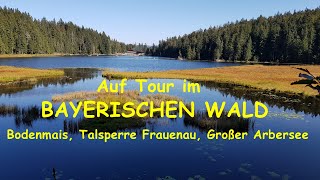 Rad und Wandertour Bayerischer Wald  Bodenmais  Zwiesel  Talsperre Frauenau  Großer Arbersee [upl. by Ross]