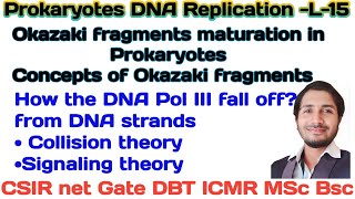 Prokaryotic DNA ReplicationL15 Okazaki fragments maturation concept of Okazaki fragments csir [upl. by Orit]