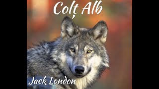 Colț Alb de Jack London partea 1 capitolul 1 PÂRTIA CĂRNII  Audiobook [upl. by Nilam]