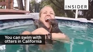 You can swim with otters at this place in California [upl. by Anatlus]