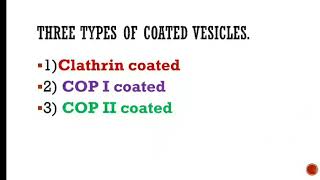 Clathrin coated Vesicles and Protein Transport [upl. by Deedahs929]