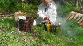 L enfumoir comment bien allumé son enfumoir pour calmer les abeilles apiculture pratique [upl. by Nahsez]