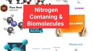 Nitrogen containing compounds and Biomolecules [upl. by Anotyad]