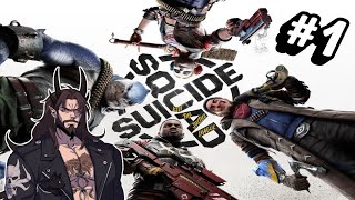 Is it that bad  Suicide Squad part 1 [upl. by Anyah838]