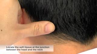 Self Massage Techniques For Headache [upl. by Sophy]