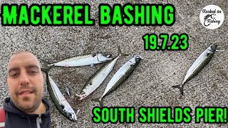 Mackerel bashing at South Shields pier  what a fun day 🎣 [upl. by Ahsieyt]