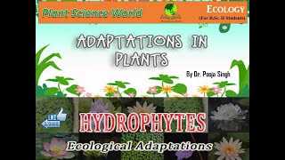 Hydrophytes Ecological adaptation [upl. by Essinger]