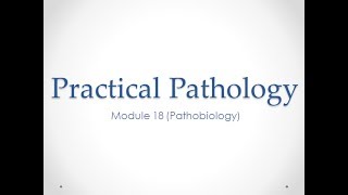 Practical Pathology Slides  Module 18 Pathobiology [upl. by O'Neil]