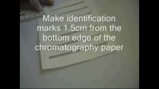 Chromatographic Separation of Amino Acids [upl. by Jeffries]