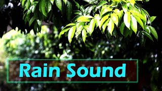 Rain Sound Effect  Drizzling SFX  HD Sound Effects [upl. by Hulda]