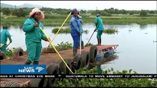 Hartbeespoort dam Snake and animal park  North West South Africa [upl. by Naesal]