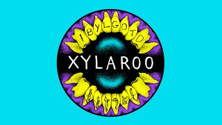 Xylaroo  I Bet You Look Good On The Dancefloor [upl. by Aehs]