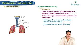 Development of respiratory system  Embryology Lecture [upl. by Mcculloch970]