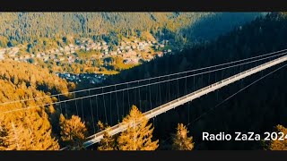 Baumwipfelpfad und die Hängebrücke in Bad Wildbad2024Radio ZaZa [upl. by Tammy]