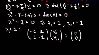 System of linear equations two real eigenvalues [upl. by Acilejna]