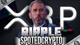 XRP STRATEGY1116 PER CIRCLECRYPTO [upl. by Rosemary]